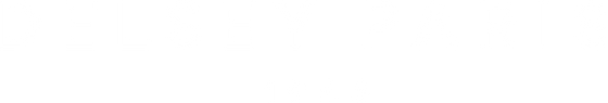 DELSEY SPAIN