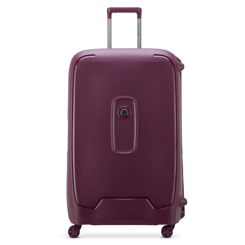 MONCEY - XL (82cm)